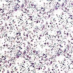 Jersey Farbklecks colorsplash lila