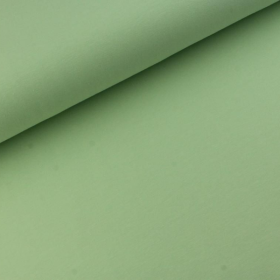 Jersey Pastellgrün Baumwolljersey Uni in 69 Farben
