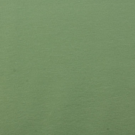 Jersey Pastellgrün Baumwolljersey Uni in 69 Farben